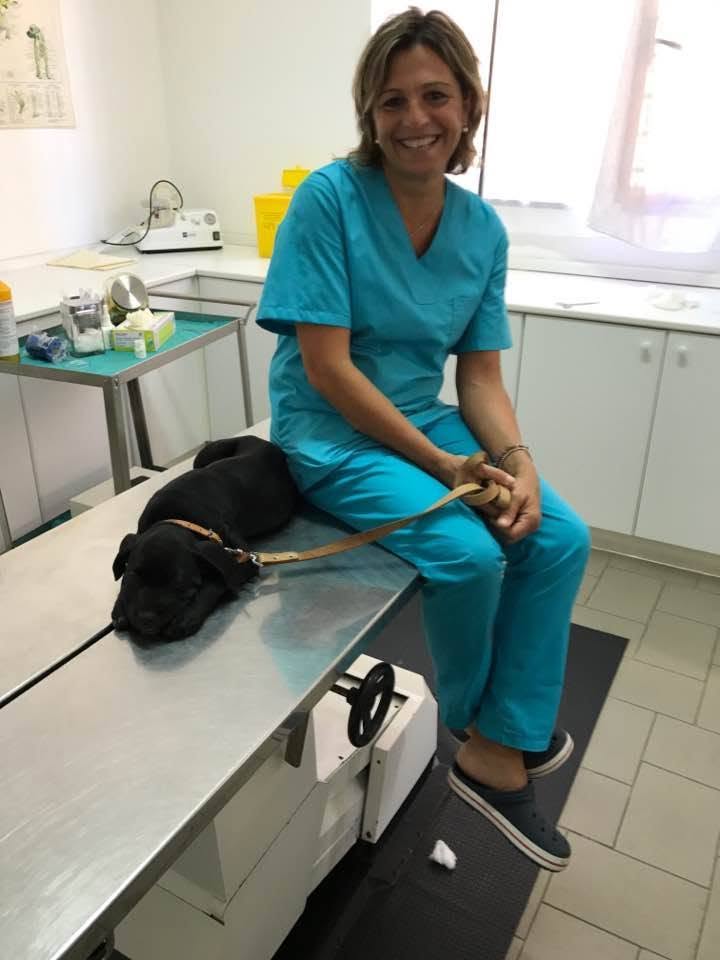 Ambulatorio Veterinario Iannelli Cardone