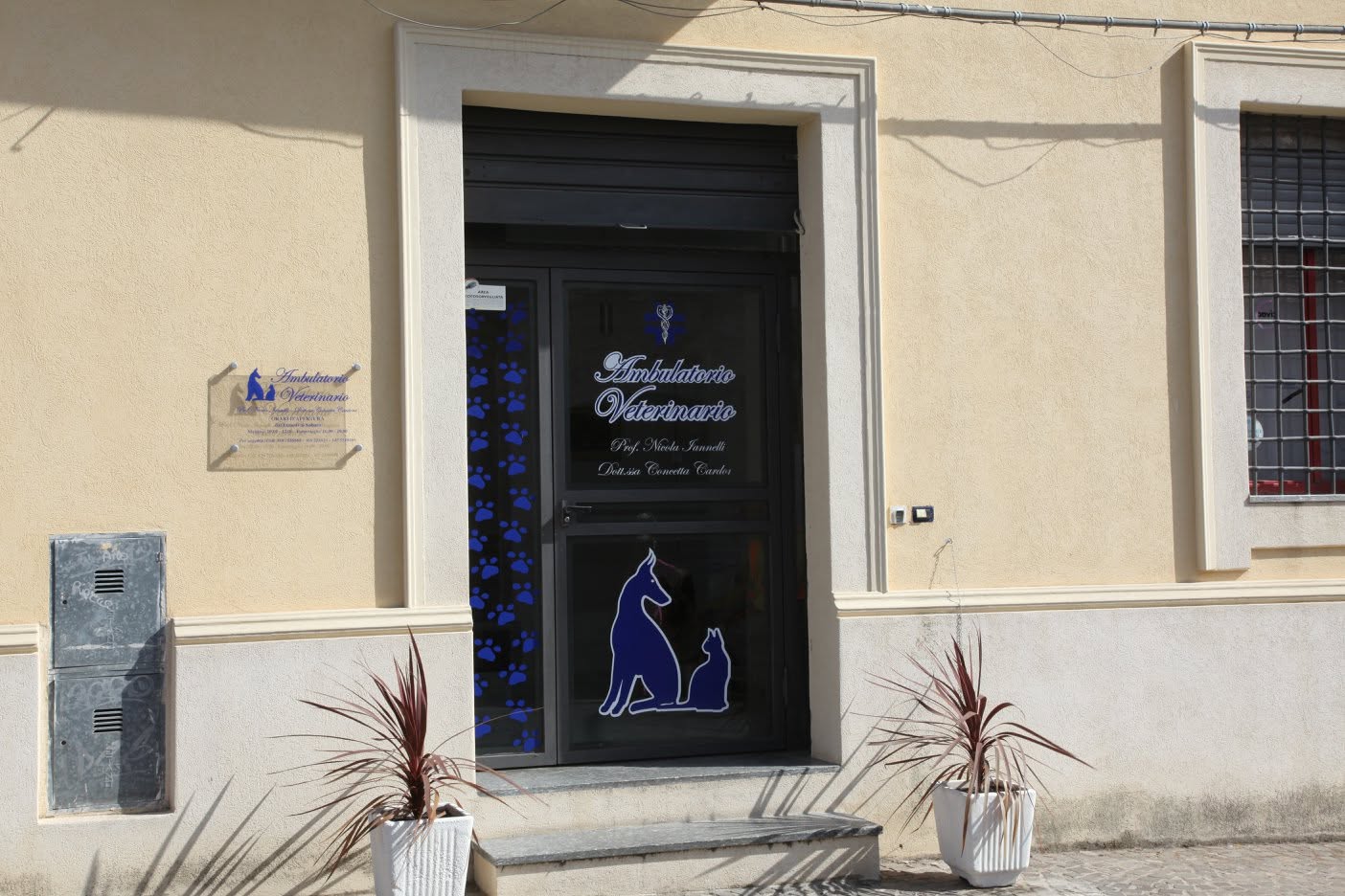 Ambulatorio Veterinario Iannelli Cardone - Cane e Gatto